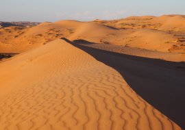 Splendours of Oman with "Plante dcouverte"