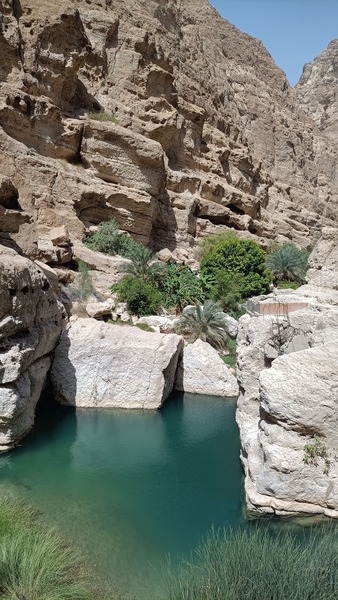 1791879302.wadi.shaab.jpg